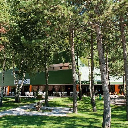 Hotel Carnia Венцоне Экстерьер фото
